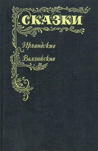 Ирландские и валлийские сказки - Автор неизвестен (читаем книги онлайн бесплатно .TXT) 📗