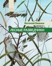 Лесные разведчики (сборник) - Бианки Виталий Валентинович (книги .txt) 📗