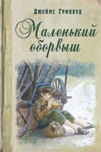 Маленький оборвыш - Гринвуд Джеймс (читаем книги онлайн бесплатно txt) 📗