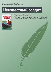 Неизвестный солдат - Рыбаков Анатолий Наумович (версия книг .TXT) 📗