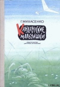 Кандаурские мальчишки - Михасенко Геннадий Павлович (книги бесплатно полные версии TXT) 📗