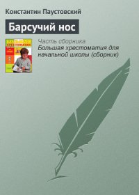 Барсучий нос - Паустовский Константин Георгиевич (бесплатные онлайн книги читаем полные версии TXT) 📗