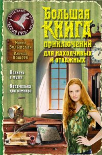 Большая книга приключений для находчивых и отважных (сборник) - Волынская Илона (лучшие книги читать онлайн бесплатно .TXT) 📗