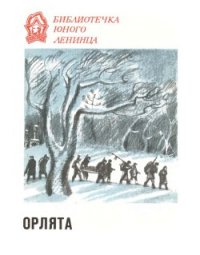 Орлята - Котовщикова Аделаида Александровна (полные книги .txt) 📗