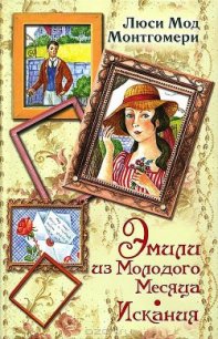 Эмили из Молодого Месяца. Искания - Монтгомери Люси Мод (читаем полную версию книг бесплатно .txt) 📗