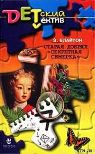 «Секретная семерка» устраивает фейерверк - Блайтон Энид (версия книг .TXT) 📗