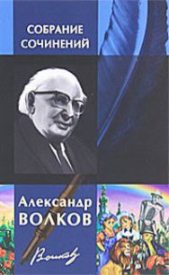 Приключения двух друзей в стране прошлого - Волков Александр Мелентьевич (читать книги онлайн .TXT) 📗