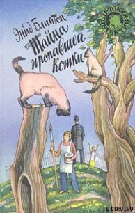 Тайна пропавшей кошки - Блайтон Энид (книги бесплатно без .TXT) 📗