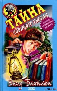 Тайна совиного холма - Блайтон Энид (читать книги бесплатно полностью без регистрации .txt) 📗