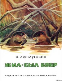 Жил-был бобр - Акимушкин Игорь Иванович (читать книги онлайн бесплатно полностью без сокращений .txt) 📗