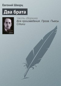 Два брата - Шварц Евгений Львович (книги онлайн без регистрации полностью TXT) 📗