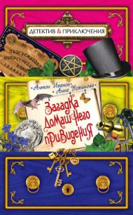 Загадка домашнего привидения - Иванов Антон Давидович (бесплатные книги онлайн без регистрации txt) 📗