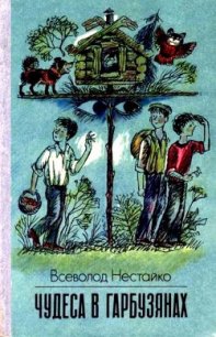 Чудеса в Гарбузянах (илл. А.Василенко) - Нестайко Всеволод Зиновьевич (читаем полную версию книг бесплатно TXT) 📗