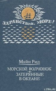 Морской волчонок (с иллюстрациями) - Рид Томас Майн (читать полностью бесплатно хорошие книги TXT) 📗