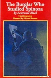 Взломщик, который изучал Спинозу - Блок Лоуренс (читать книги .TXT) 📗