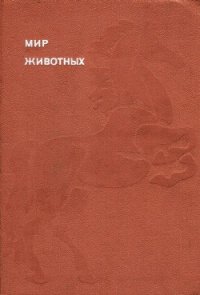 Мир животных. Домашние животные - Акимушкин Игорь Иванович (онлайн книга без .TXT) 📗