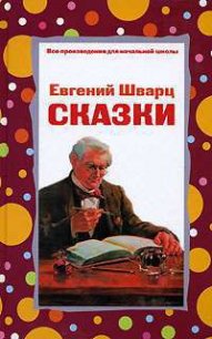 Рассеянный волшебник - Шварц Евгений Львович (читать книги полностью .txt) 📗