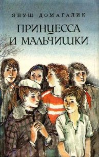 Принцесса и мальчишки - Домагалик Януш (читаемые книги читать онлайн бесплатно полные .TXT) 📗