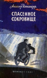 Спасенное сокровище - Ихенхойзер Аннелизе (книги онлайн читать бесплатно txt) 📗