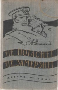 Ночная встреча - Мошковский Анатолий Иванович (лучшие книги читать онлайн бесплатно без регистрации TXT) 📗