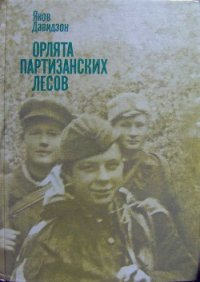 Орлята партизанских лесов - Давидзон Яков Борисович (читать хорошую книгу полностью TXT) 📗