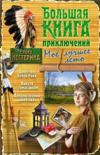 Большая книга приключений. Мое лучшее лето (сборник) - Нестерина Елена Вячеславовна (бесплатные онлайн книги читаем полные версии .TXT) 📗