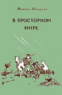 В просторном мире - Никулин Михаил Андреевич (книги онлайн полные версии txt) 📗