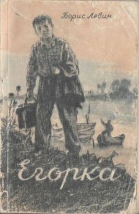 Егорка - Левин Борис Наумович (книги хорошего качества .TXT) 📗