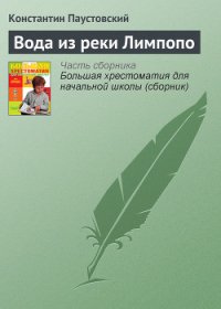 Вода из реки Лимпопо - Паустовский Константин Георгиевич (книга регистрации txt) 📗