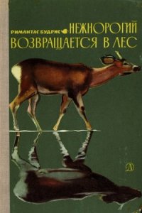 Нежнорогий возвращается в лес - Будрис Римантас (читаем книги txt) 📗