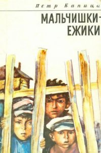 Мальчишки-ежики - Капица Петр Иосифович (книги онлайн полные .txt) 📗