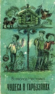 Чудеса в Гарбузянах - Нестайко Всеволод Зиновьевич (книга читать онлайн бесплатно без регистрации txt) 📗