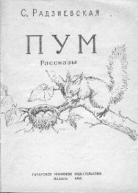 Пум - Радзиевская Софья Борисовна (читаем книги онлайн бесплатно полностью txt) 📗