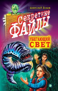 Убегающий свет - Лосев Анатолий (книги полностью .TXT) 📗