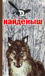 Найденыш - Бианки Виталий Валентинович (читать книги онлайн без txt) 📗