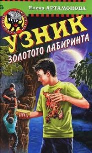 Узник золотого лабиринта - Артамонова Елена Вадимовна (книги серии онлайн txt) 📗