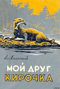 Мой друг Кирочка - Каменский Александр Владимирович (книги онлайн полные TXT) 📗