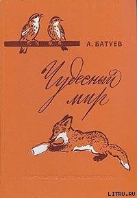 Чудесный мир - Батуев Андрей Михайлович (читать книги бесплатно полностью без регистрации txt) 📗