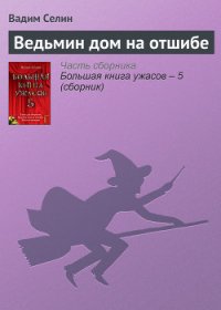 Ведьмин дом на отшибе - Селин Вадим (читать книги .txt) 📗