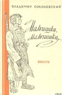 Мальчишки, мальчишки... - Соколовский Владимир Григорьевич (читать книги онлайн регистрации txt) 📗