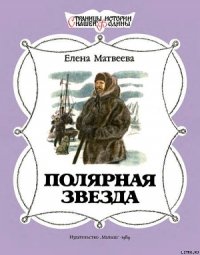 Полярная звезда - Матвеева Елена Александровна (читать книги онлайн бесплатно полные версии TXT) 📗