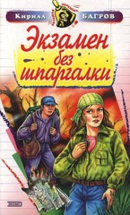 Экзамен на выживание - Багров Кирилл (книги без регистрации txt) 📗