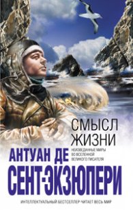 Смысл жизни - де Сент-Экзюпери Антуан (книги онлайн полные версии бесплатно txt) 📗