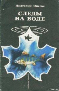 Вода, настоянная на чернике - Онегов Анатолий Сергеевич (бесплатные онлайн книги читаем полные .txt) 📗