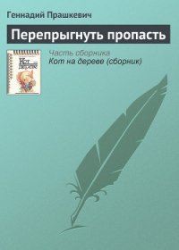 Перепрыгнуть пропасть - Прашкевич Геннадий Мартович (книги полностью .TXT) 📗