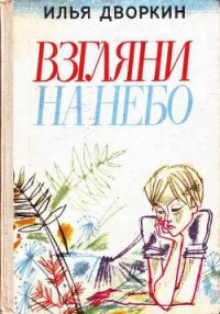 Взгляни на небо - Дворкин Илья Львович (е книги .txt) 📗