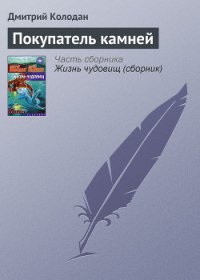 Покупатель камней - Колодан Дмитрий Геннадьевич (книги бесплатно без регистрации полные TXT) 📗