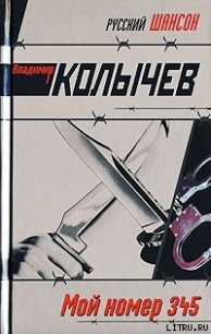 Мой номер 345 - Колычев Владимир Григорьевич (книги txt) 📗