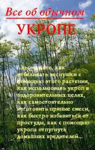 Все об обычном укропе - Дубровин Иван (библиотека книг бесплатно без регистрации TXT) 📗