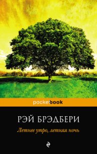 Летнее утро, летняя ночь - Брэдбери Рэй Дуглас (читать книги бесплатно txt) 📗